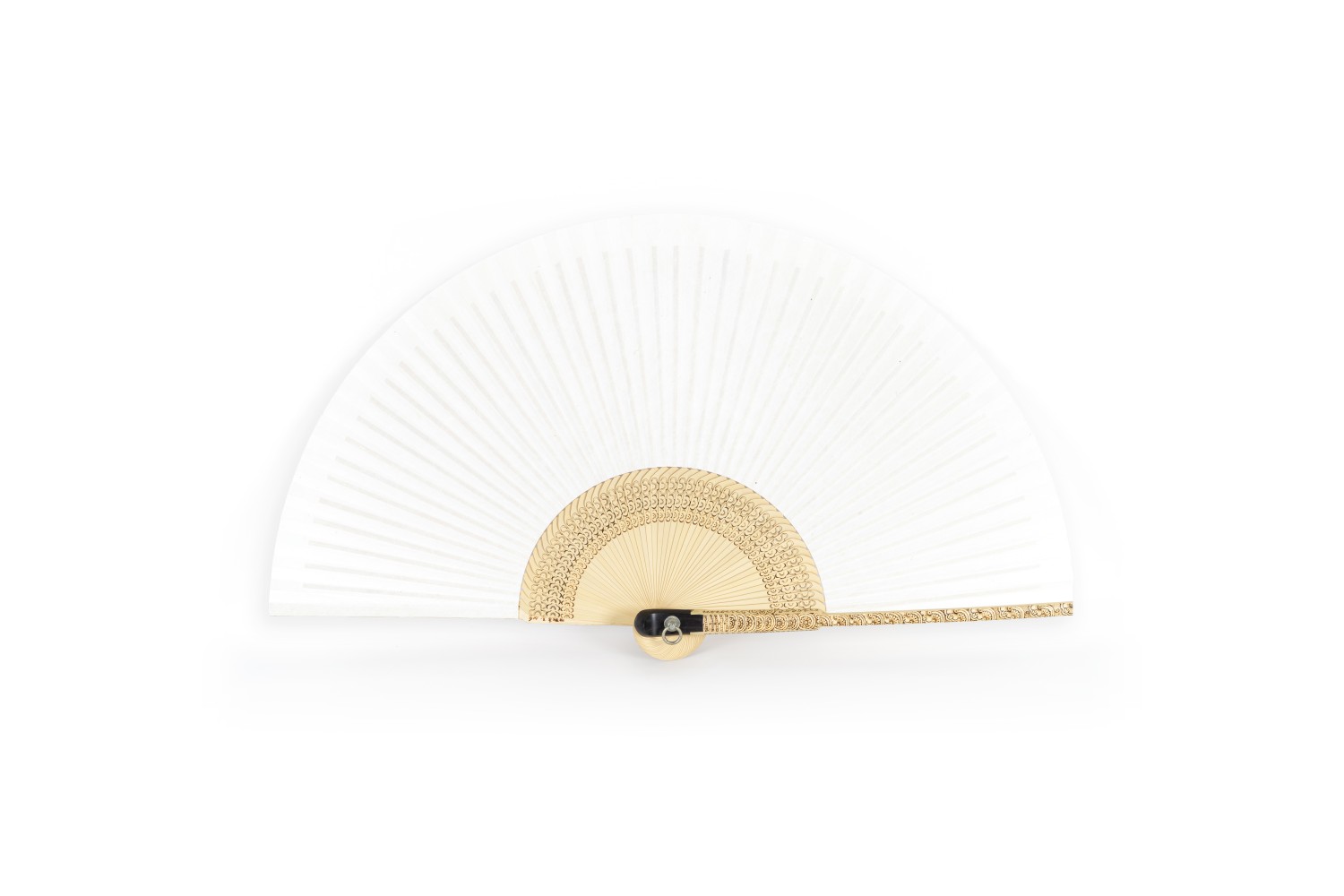 김동식 - 오십살 백접선 / 45.5 × 82.5 cm