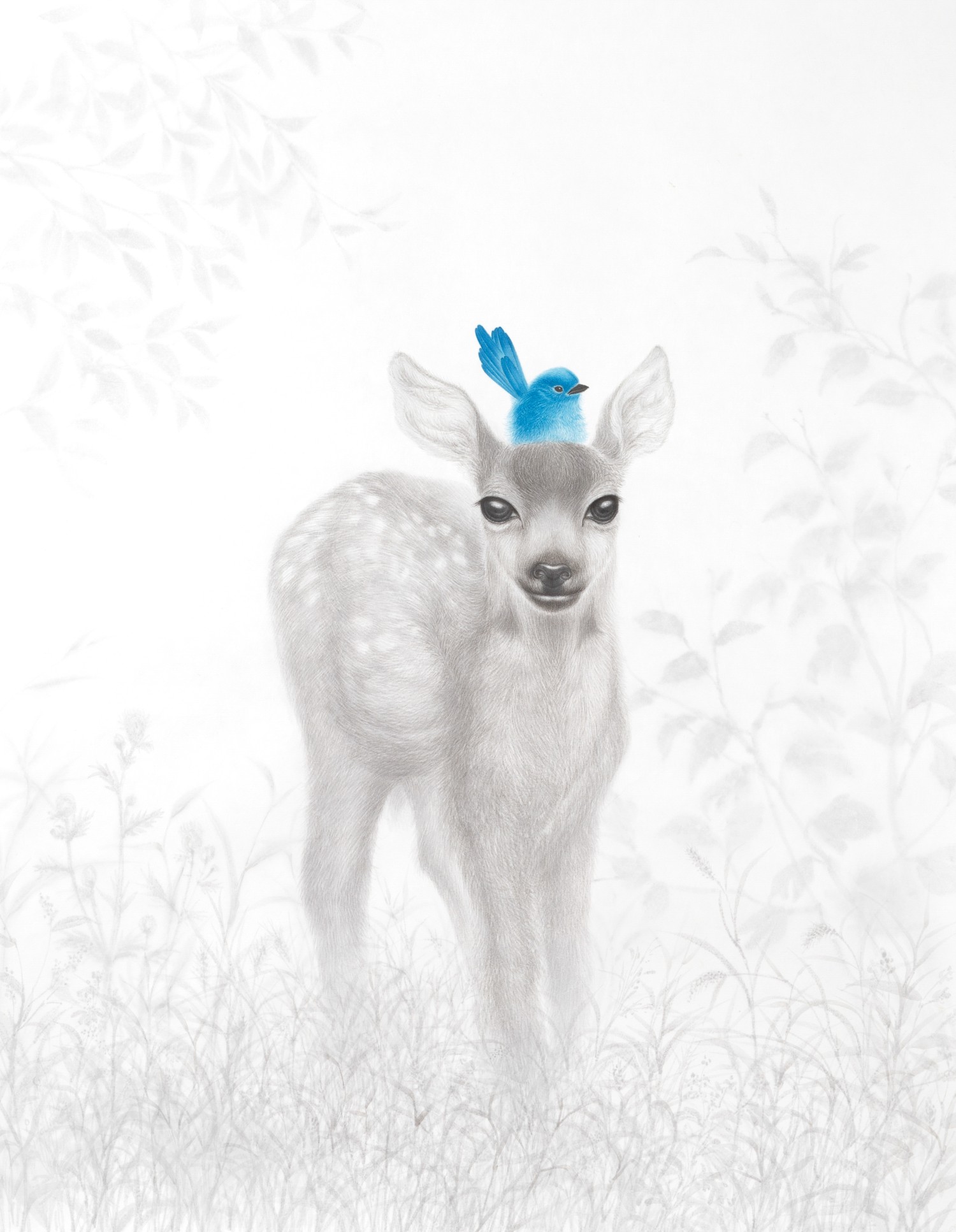 공존  117×91cm, 한지에 먹과채색, 2024