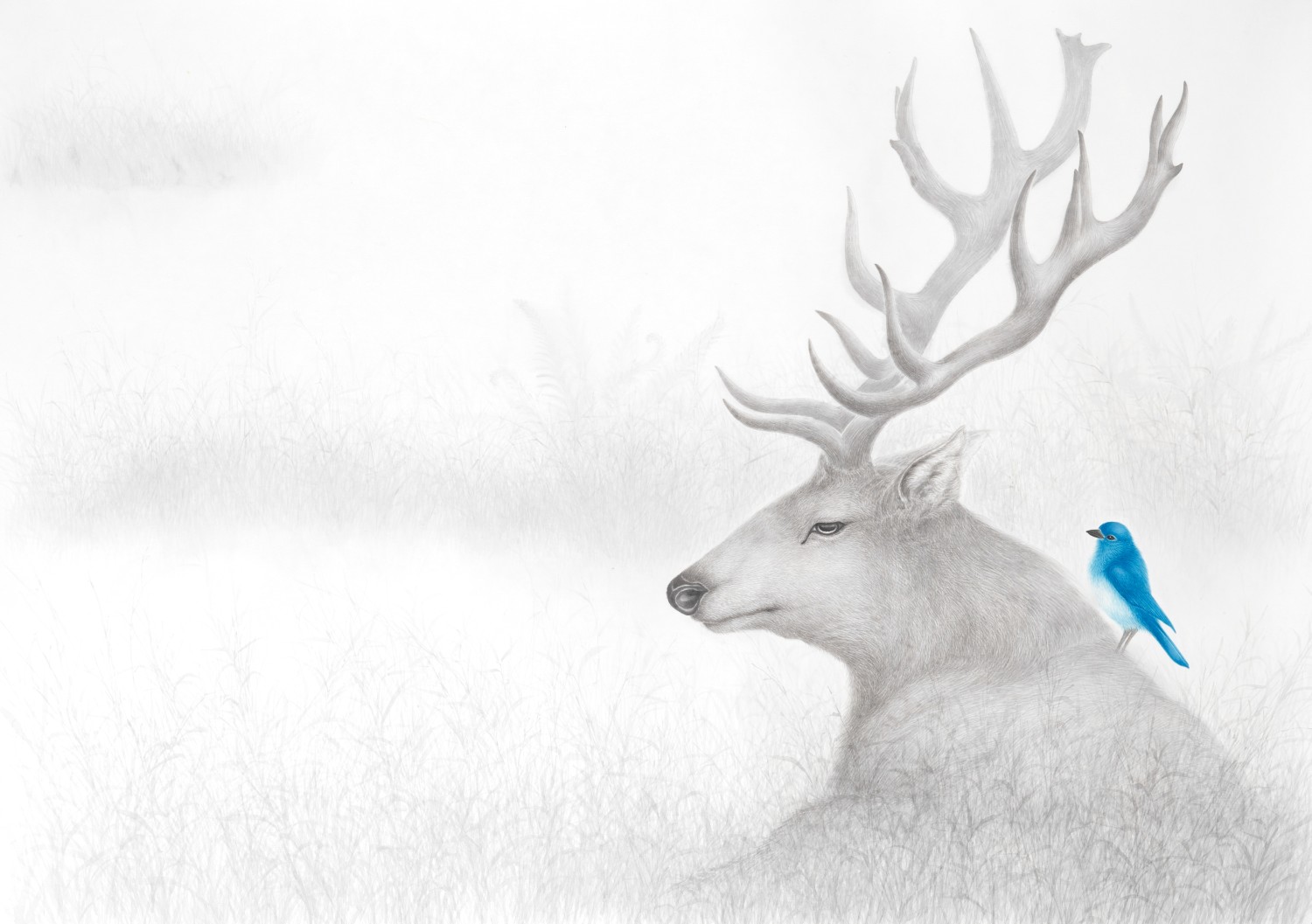 공존  100×147cm, 한지에 먹과채색, 2024