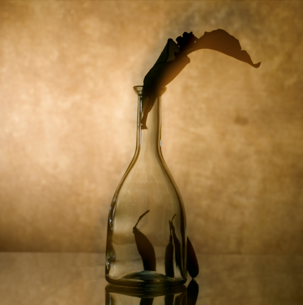 강리, 식탁의 풍경화_사실을 넘어서 #3, Ink-jet Print, 70×70cm, 2011