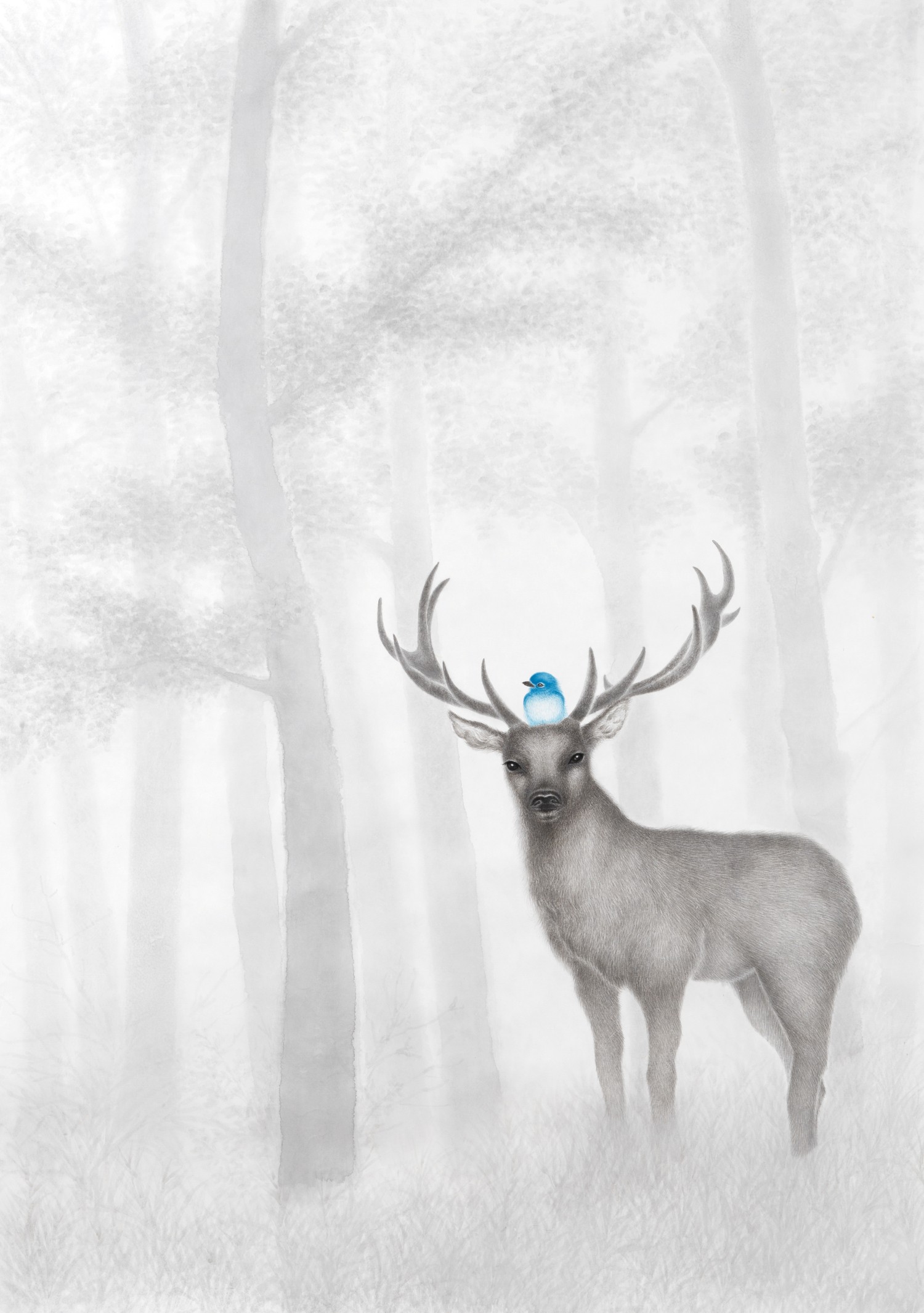 공존  145×117cm, 한지에 먹과채색, 2024