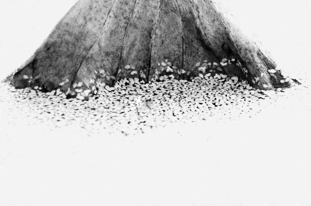 작_이어지는 시간, 730×520mm, 잉크젯 프린트, 2026