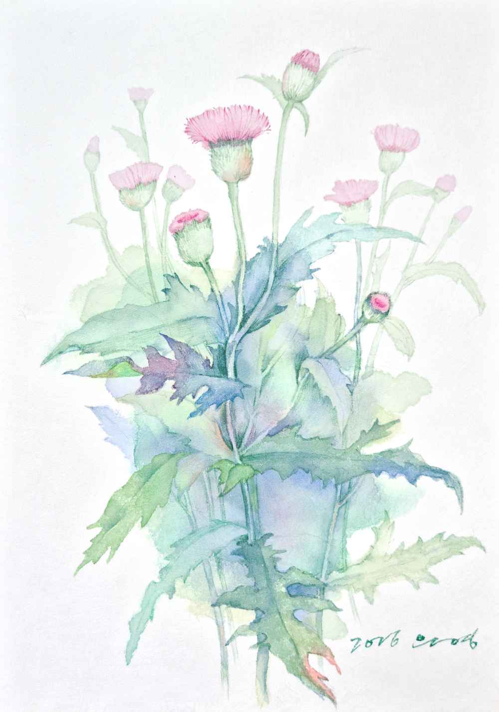 김은영_엉겅퀴1, 35x24.5cm, 장지에 채색, 2026