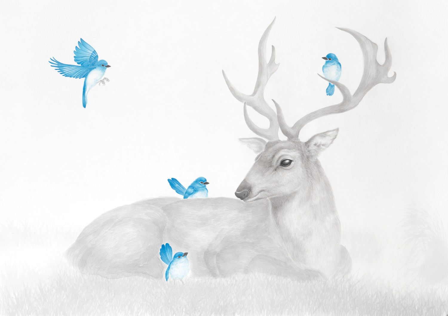 공존  100×145.5cm, 한지에 먹과채색, 2024